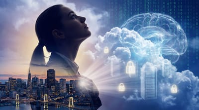 From Continuous Improvement to Continuous Execution