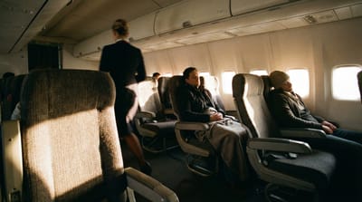 ¿Cuánto cobra Spirit por las mascotas?