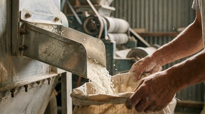 🍬🌍 Africa’s Sugar Market Set to Sweeten the Economy — Expected to Reach 💰 $17.7 Billion by 2035 🚀📈www.afroworldagrifood.com
