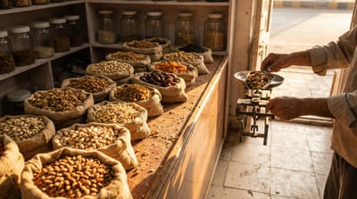 🌾SOUTH AFRICA’S PULSE MARKET CROSSES $9.69 BILLION AMID RISING DEMAND 💰📈 www.asiaagrifood.com