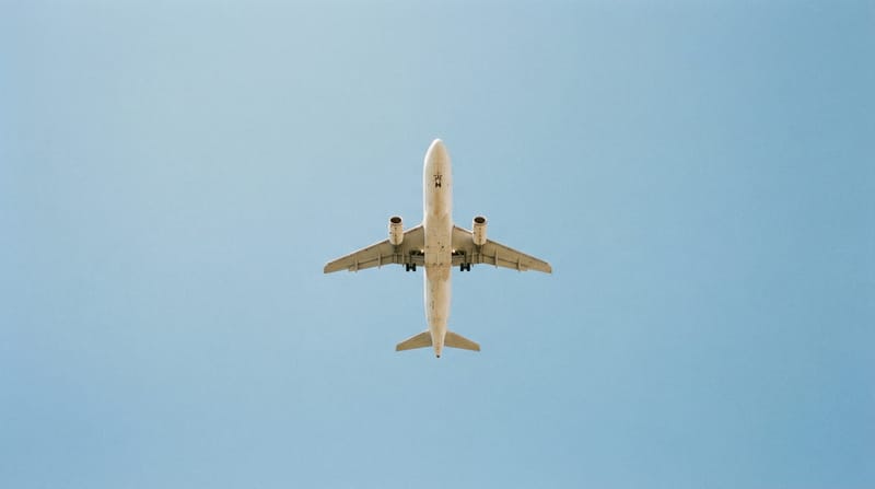 Fly Me To You & Travel Escort