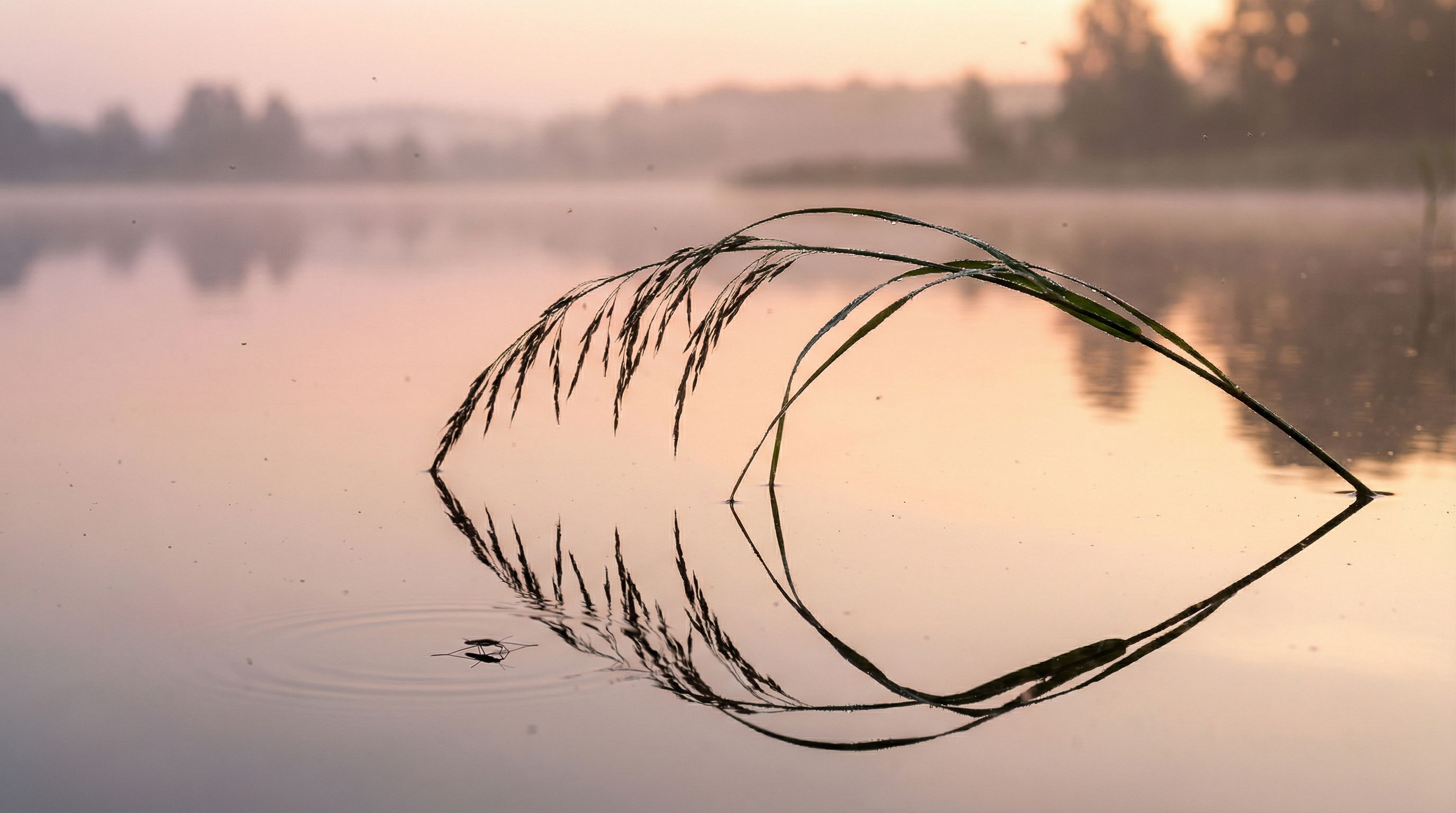 az élet három pillére