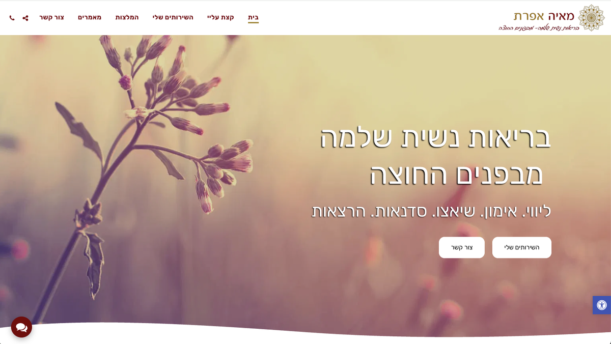 אימון וליווי נגישות