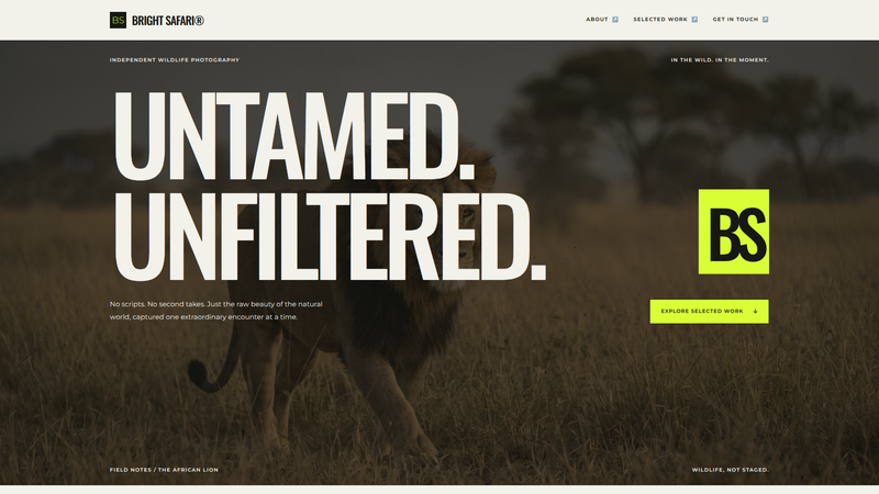 Bright Safari Wildlife Photography