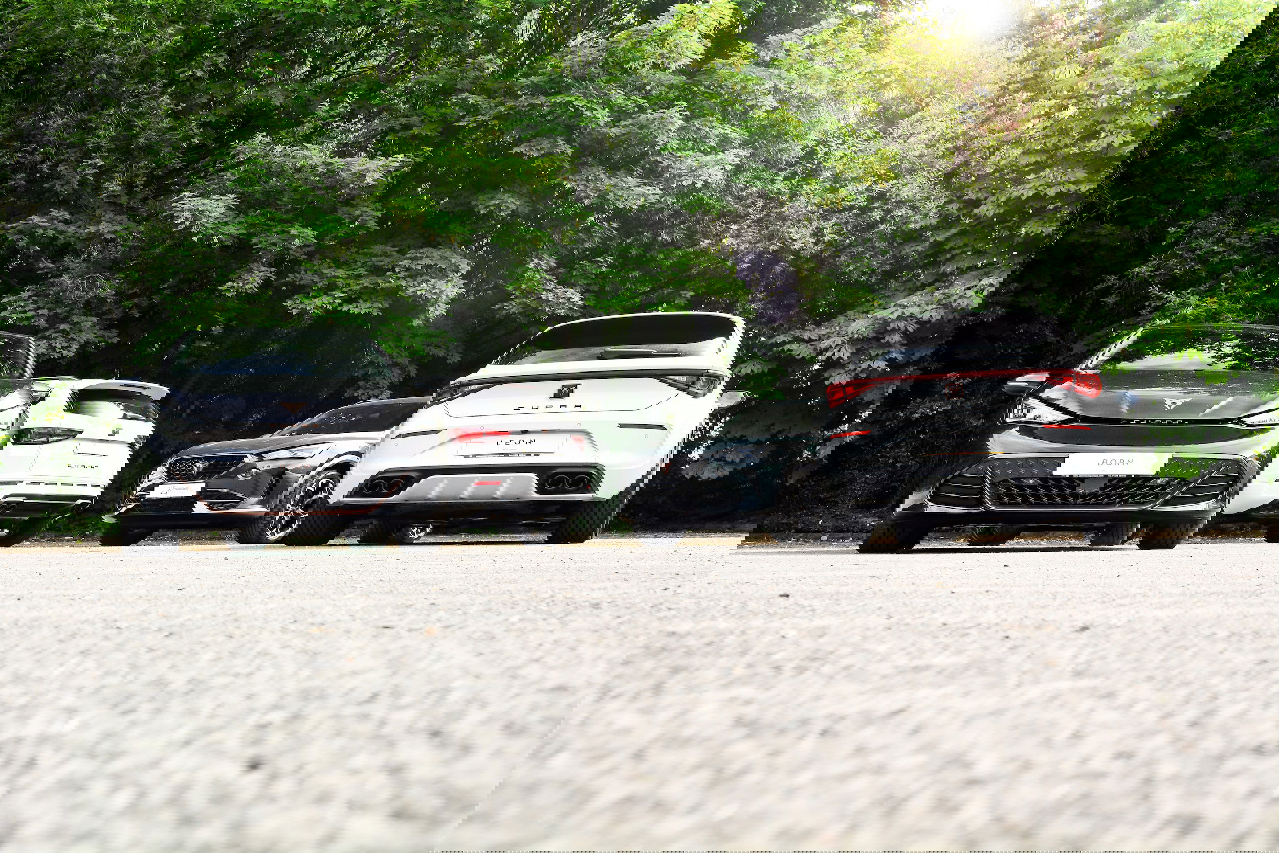 No More Emissions Reporting: A Turning Point for the Auto Industry.