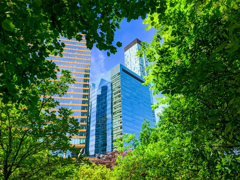 Sustainable Solutions