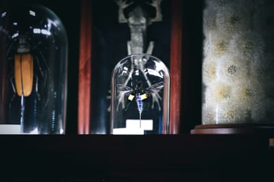 WITCH DOCTOR IN MONTSERRAT