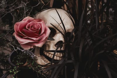 WITCH DOCTOR IN LIECHTENSTEIN