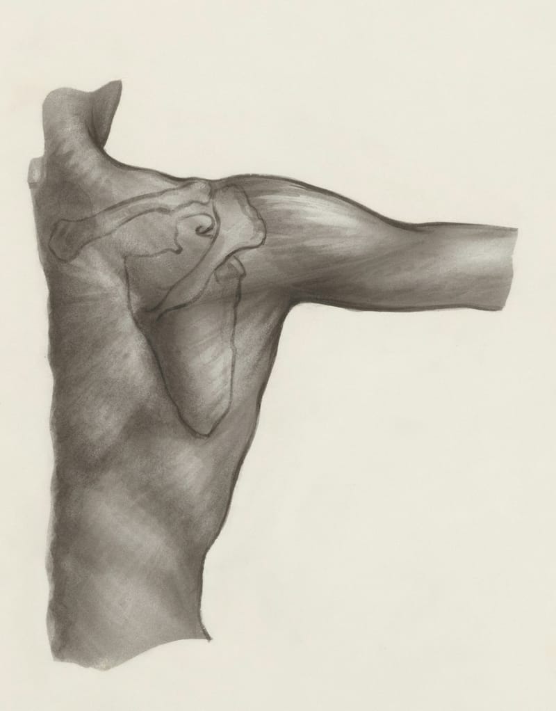 Body Contouring