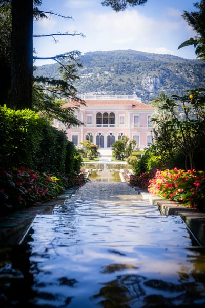 🎵Money, Money, Money… A Song About Forensic Audits