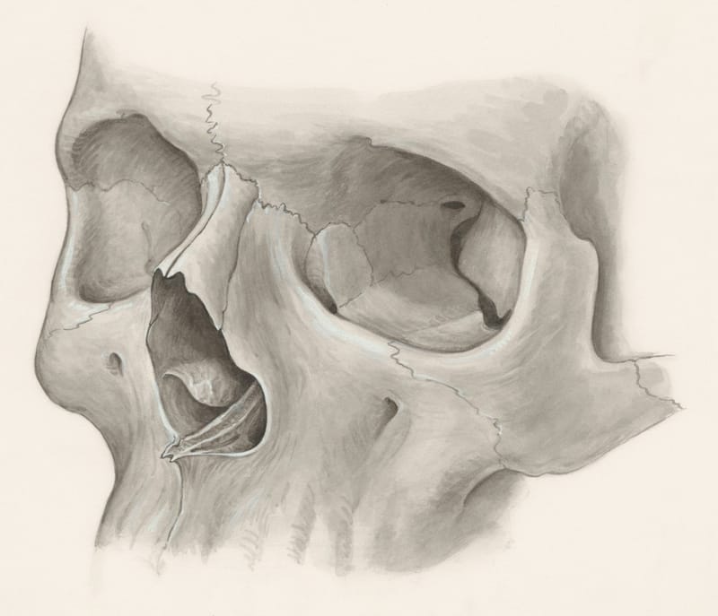 Orthopedic Rehabilitation