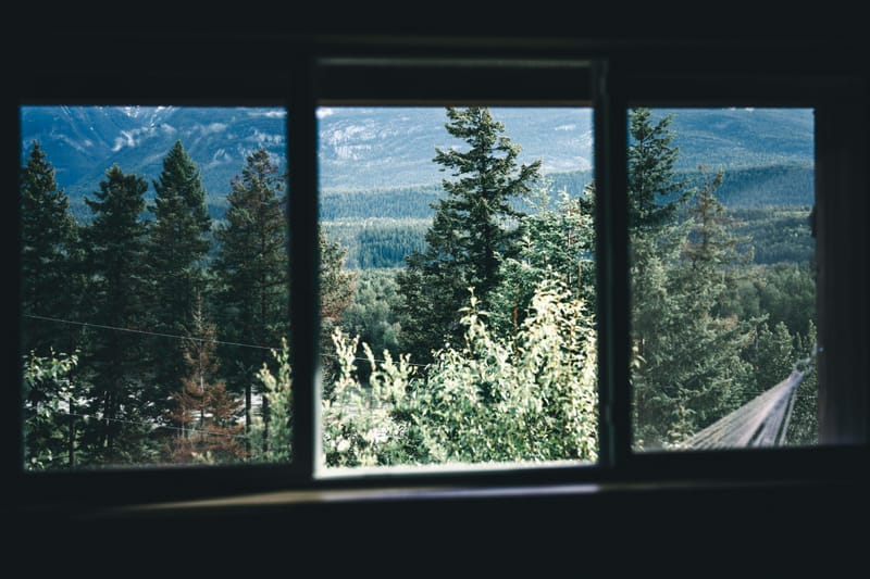 Window Cleaning