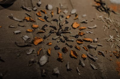 WITCH DOCTOR IN RHODE ISLAND USA