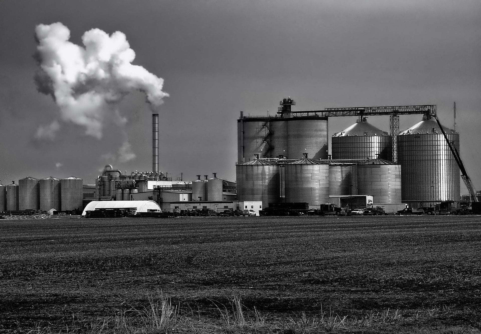 Cycle 5: Know feedstock-wise allocation for Q4 Ethanol Supply Year 2024-25