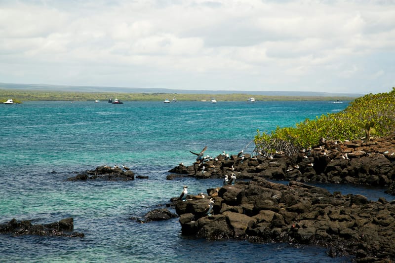 Eco-Friendly Tours