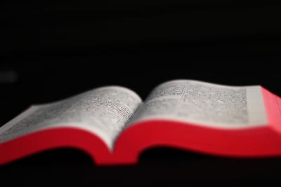 إنجيل الأحد 2025/6/29