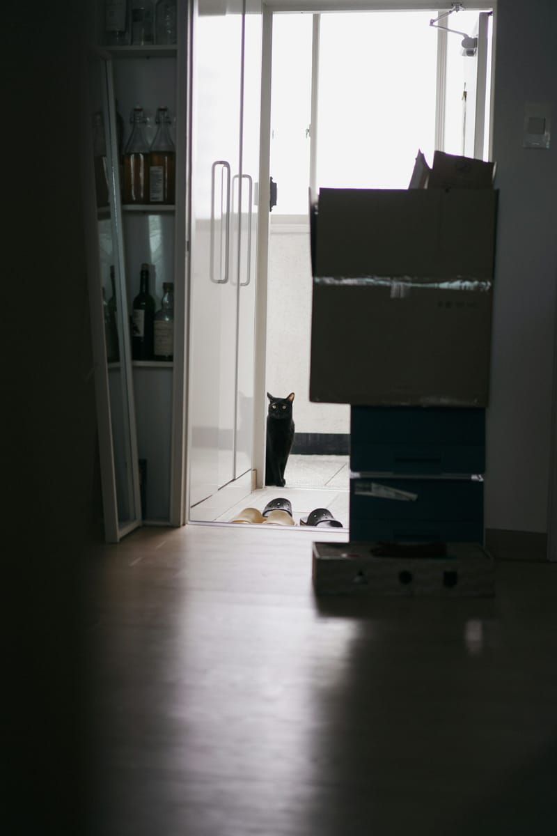Commercial Relocation