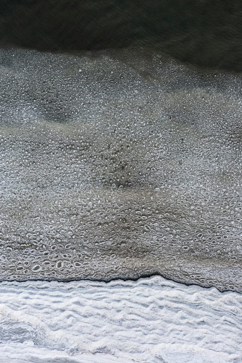 Mold Removal