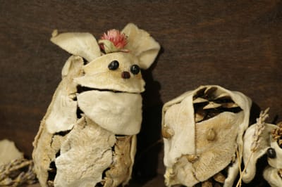 WITCH DOCTOR IN TOKYO JAPAN