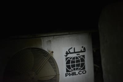 كيفية اختيار شركة مكافحة الحشرات المناسبة في الرياض