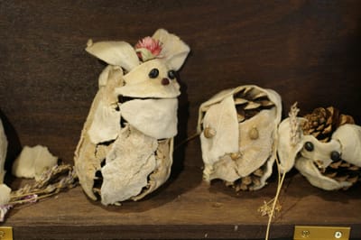 WITCH DOCTOR IN ISIOLO TOWN