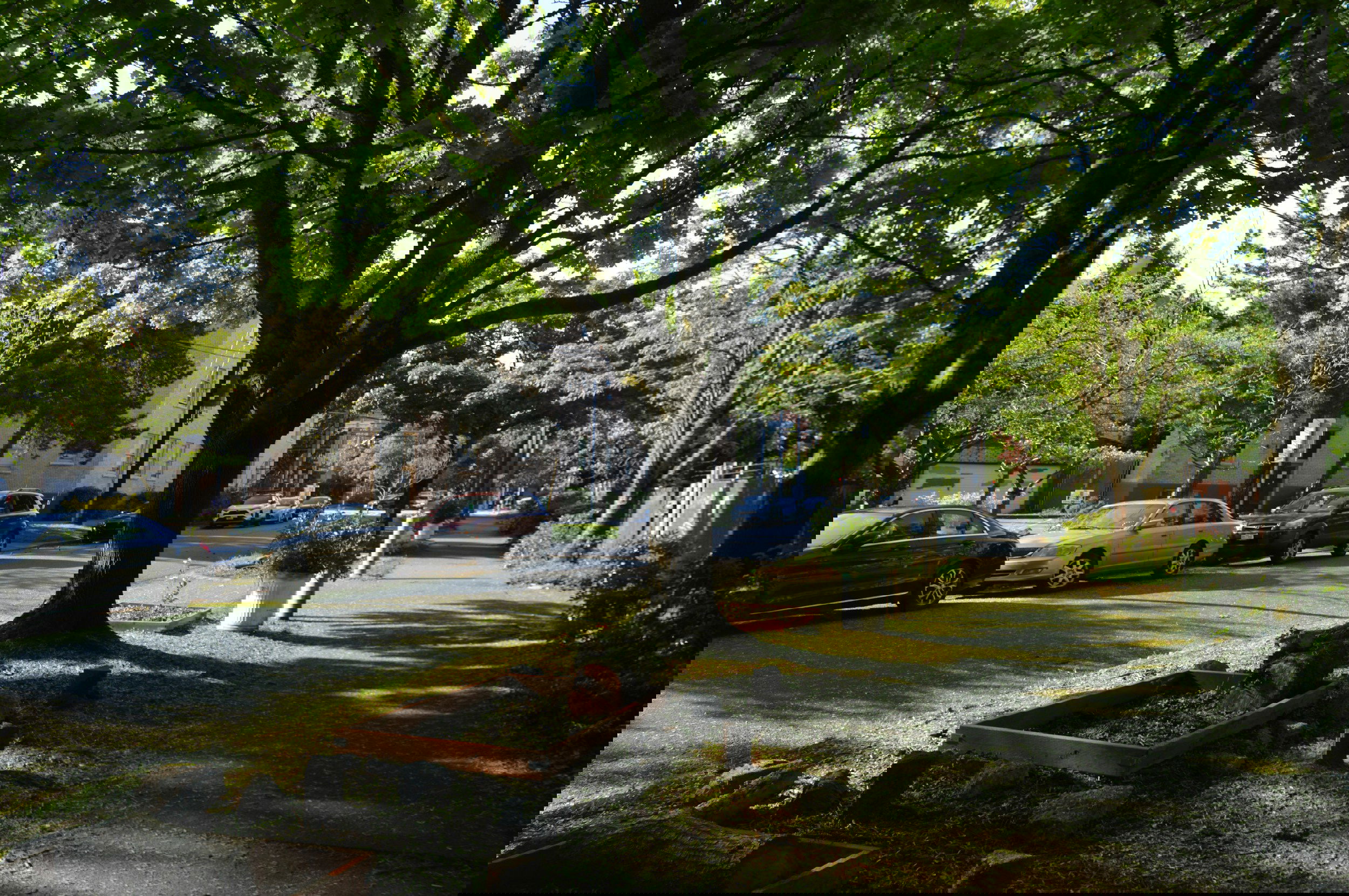 America's most walkable cities and towns: Seattle.