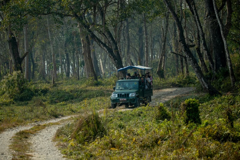 Kawasan Hutan Birapati