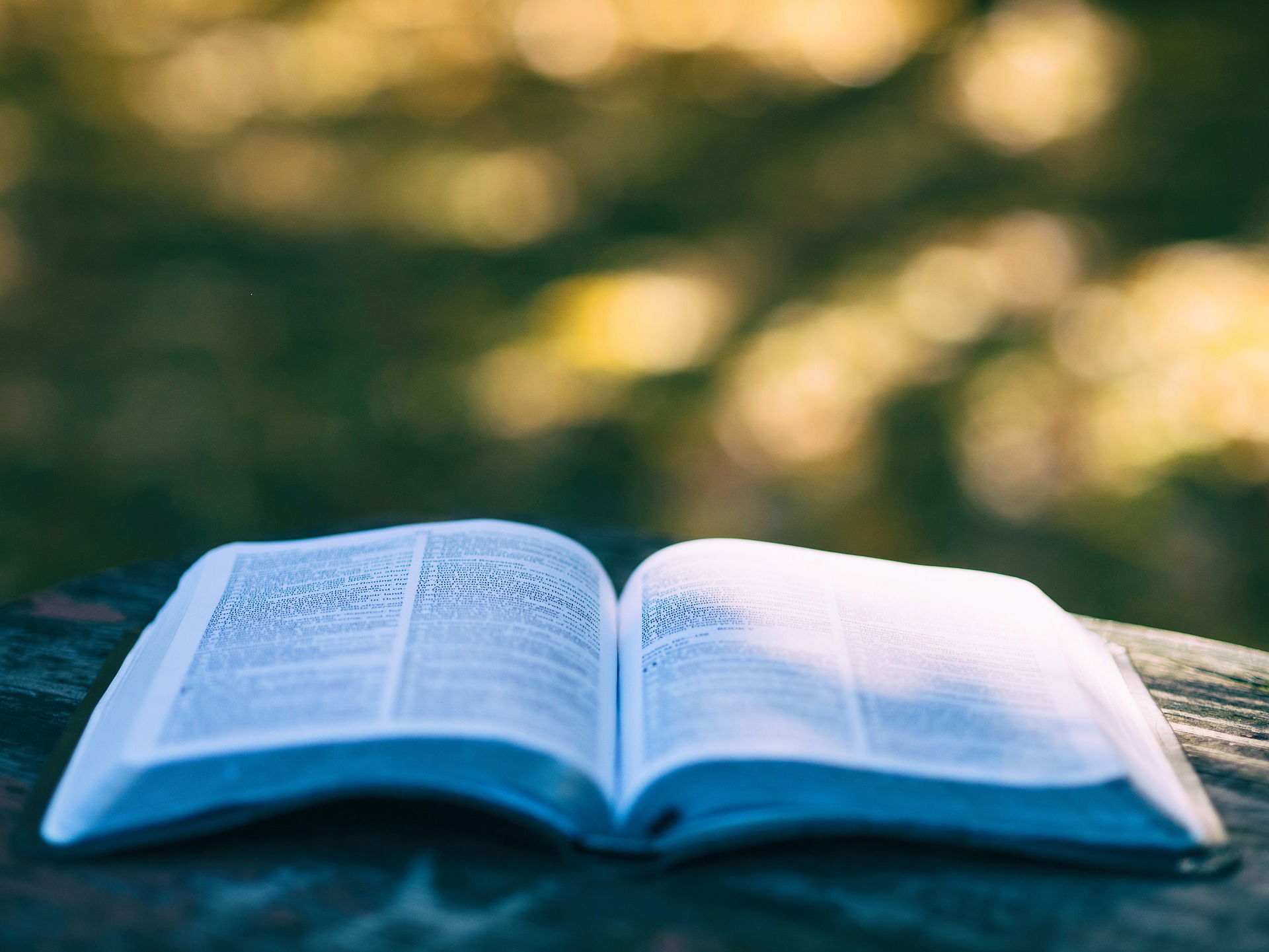 A book is open on a table outside in the summer