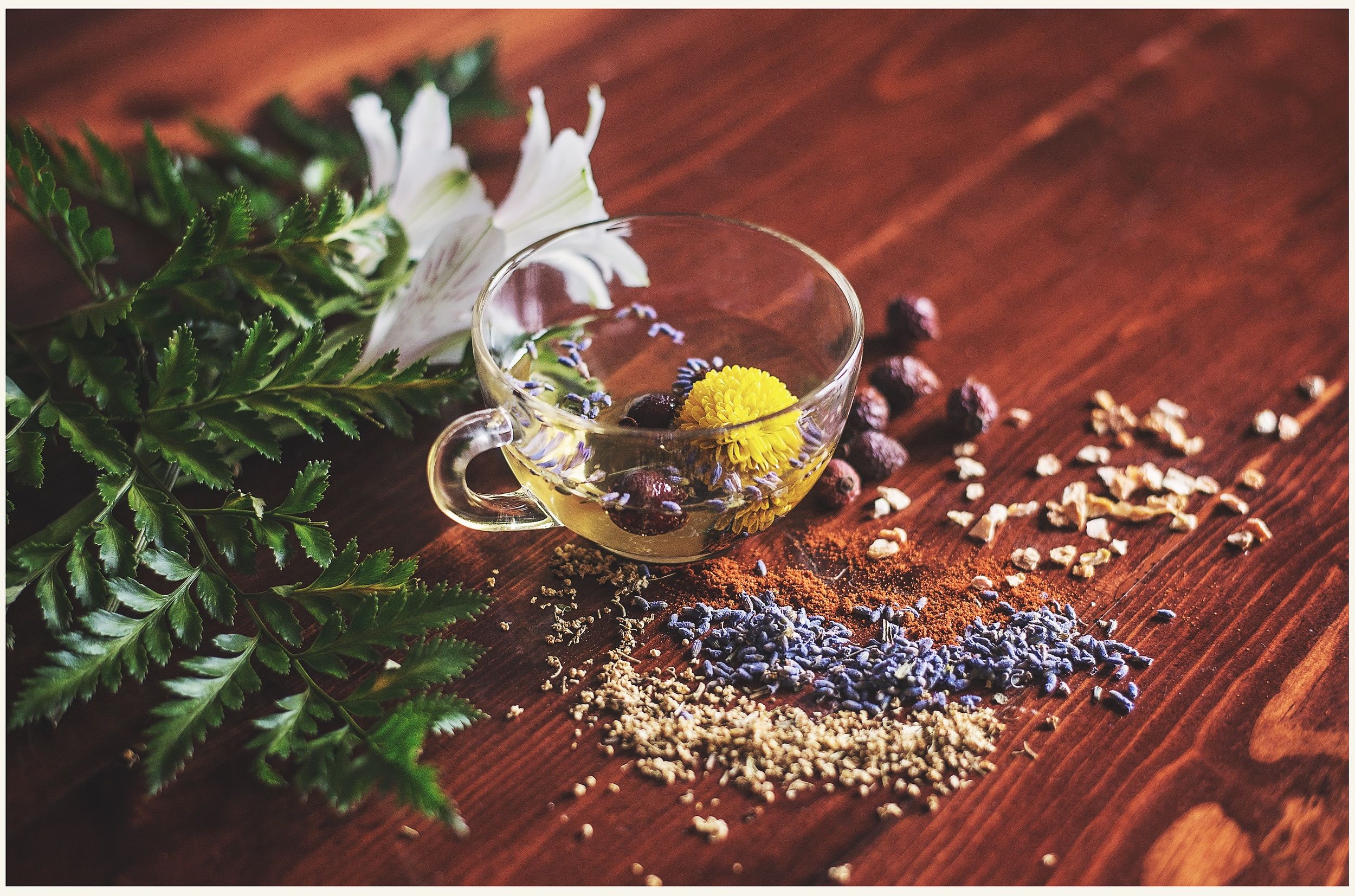 Dive into the World of Herbal Courses: Unlocking Nature's Healing Powers