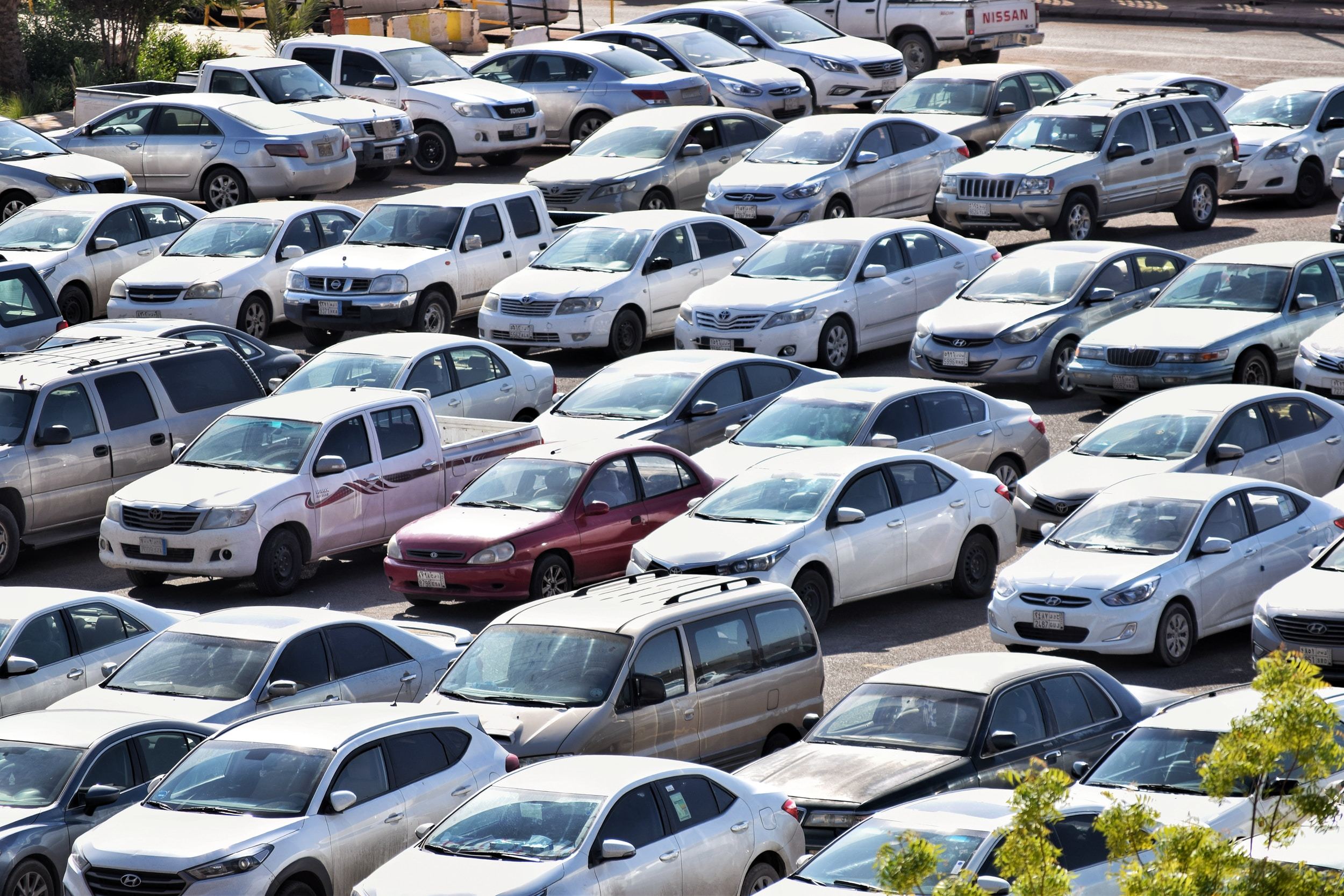 Auto auction company shares.