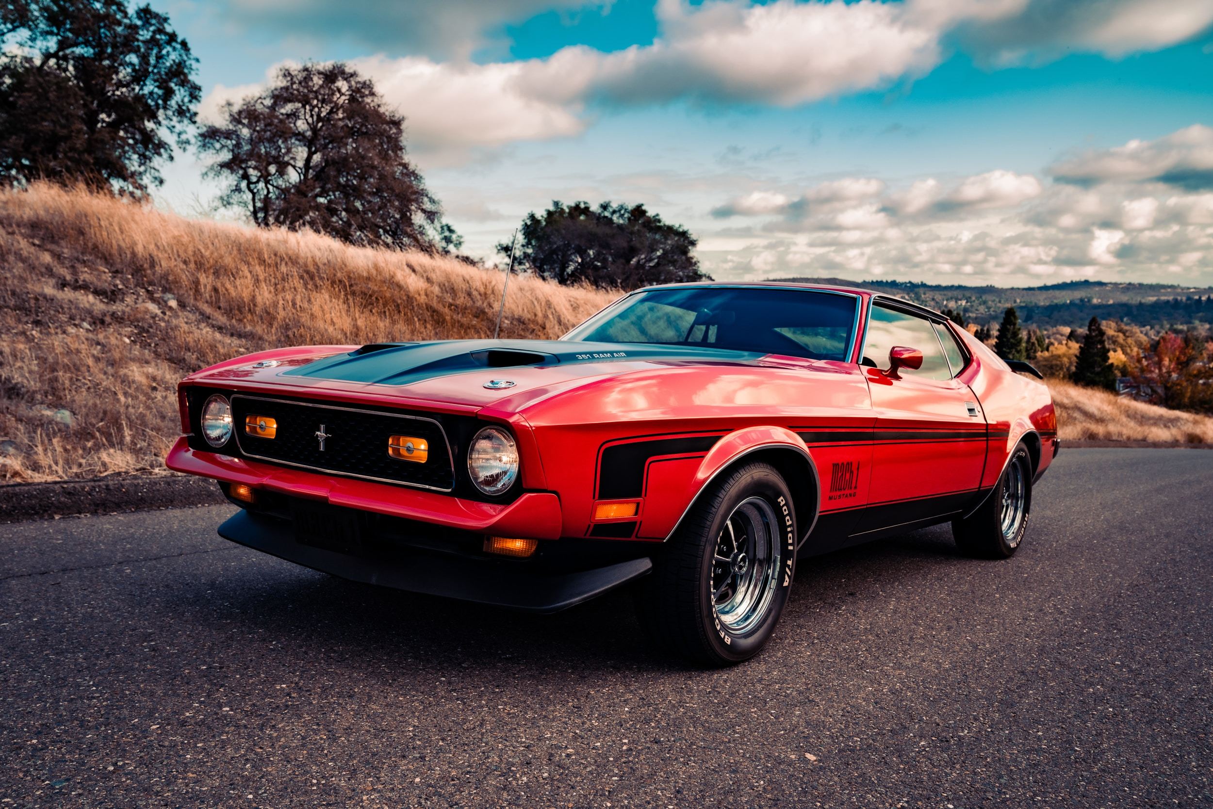 Affordable muscle car buying tips.