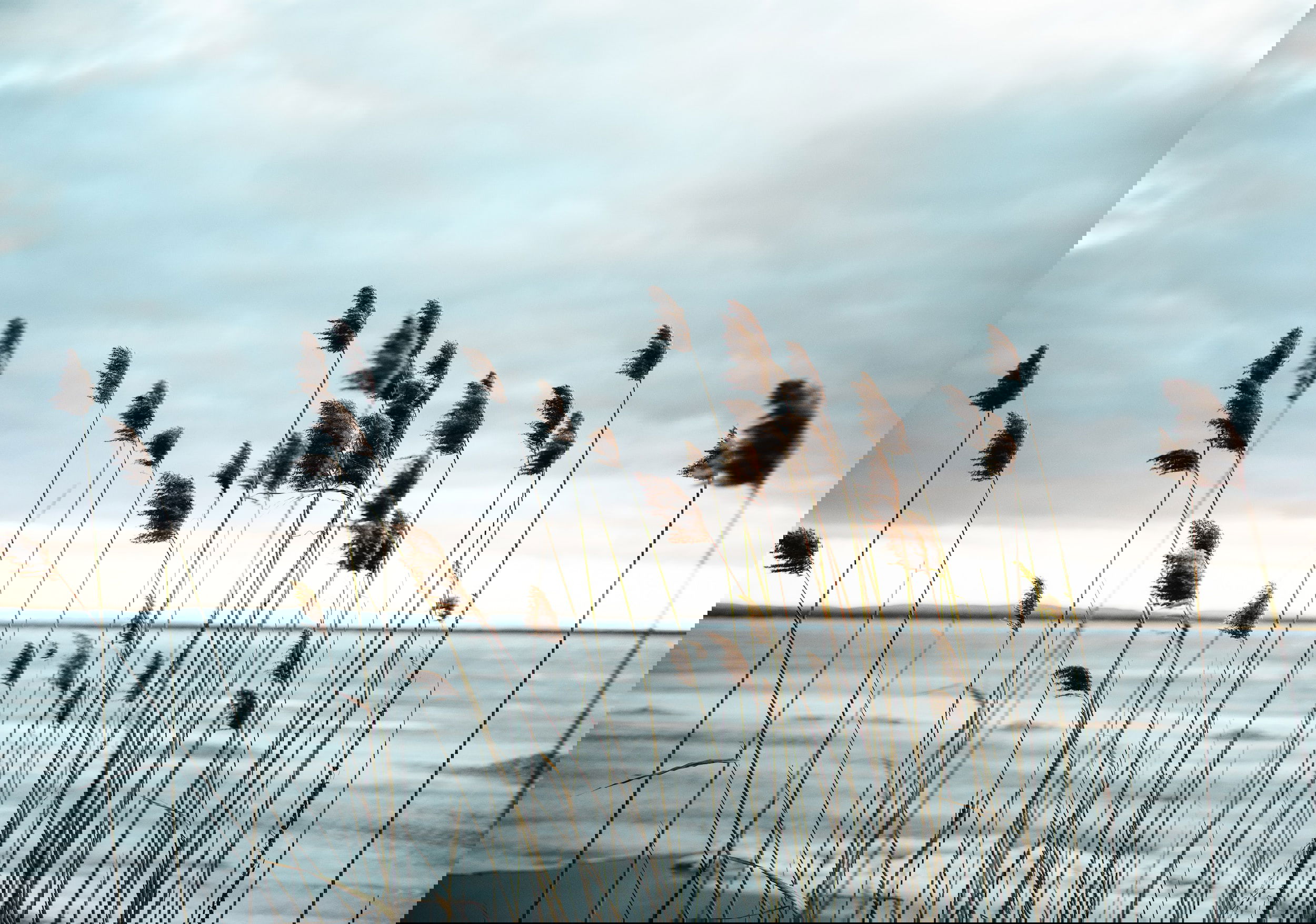 Motiváció az élet adrfenalinja