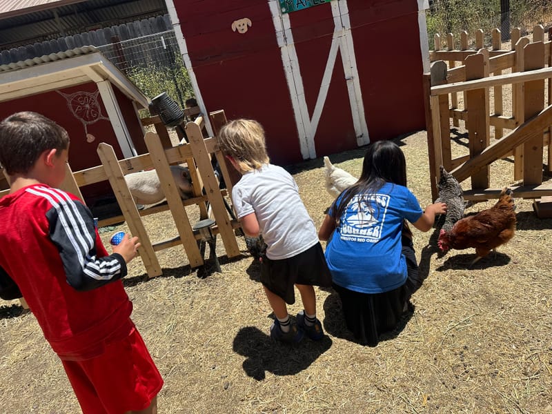 Community Engagement