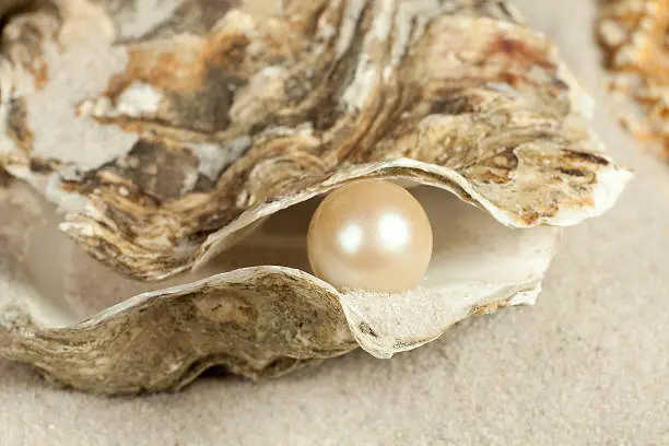 The End of Guesswork: How the 'Pearl of Wisdom' Tool Guarantees Consulting ROI and Consistent Excellence