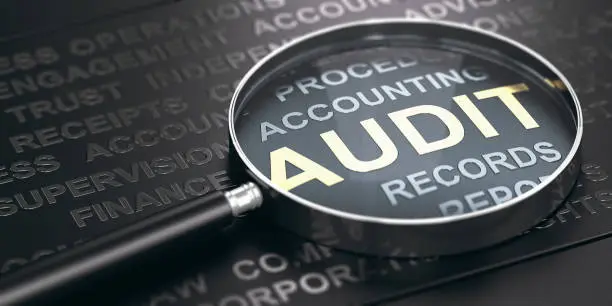 Clinical Business Audit