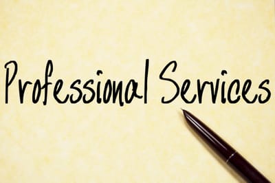 Unlocking Business Potential: The Power Of Professional Services