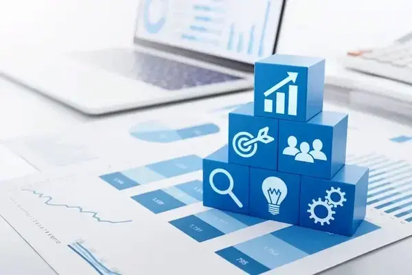 Business Development &amp; Operational Growth Management