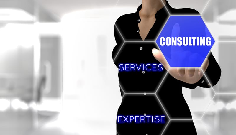 RBV in Professional Services, Evidence on Advantage and Limits