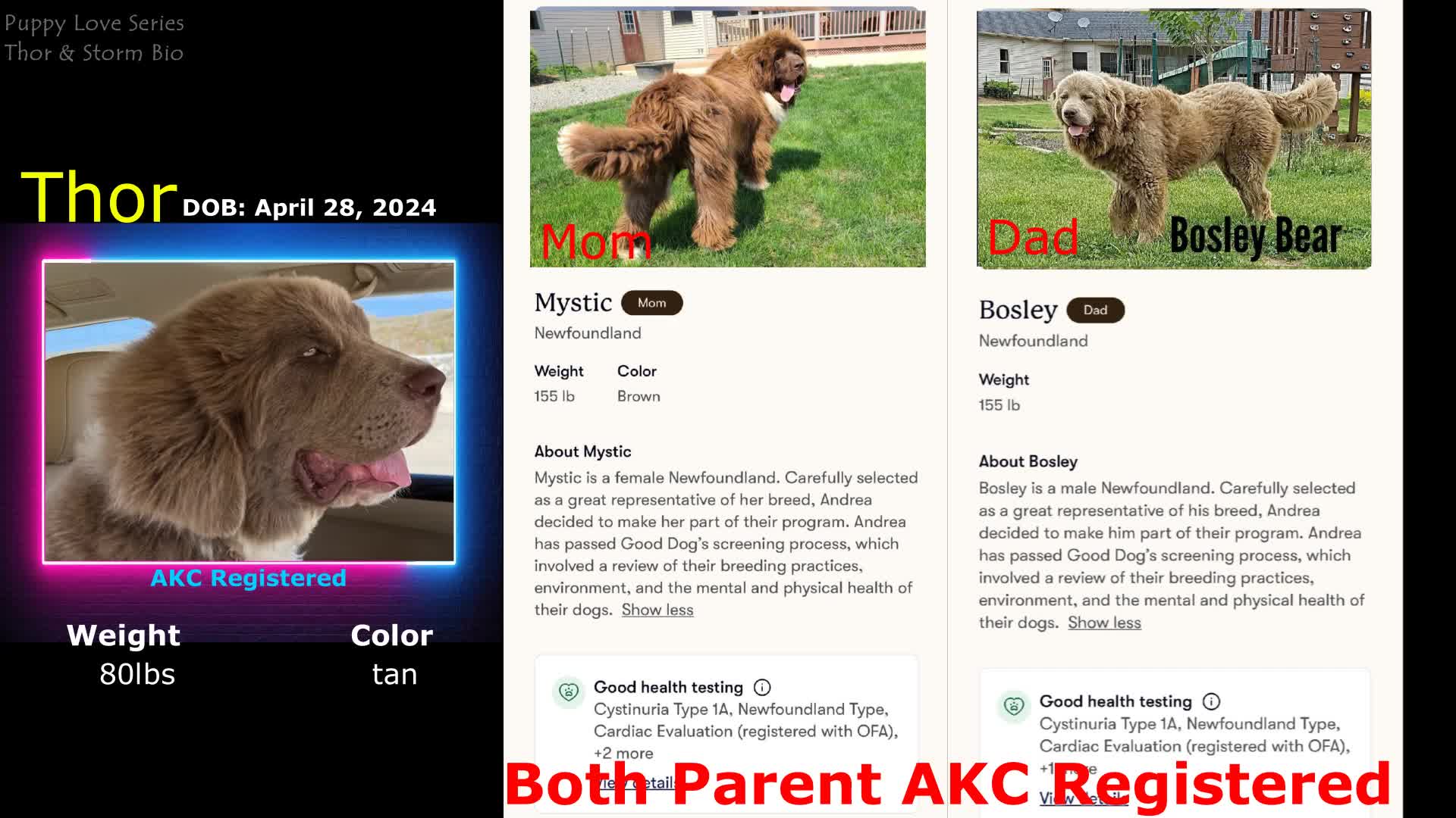 Thor and Storm Parent