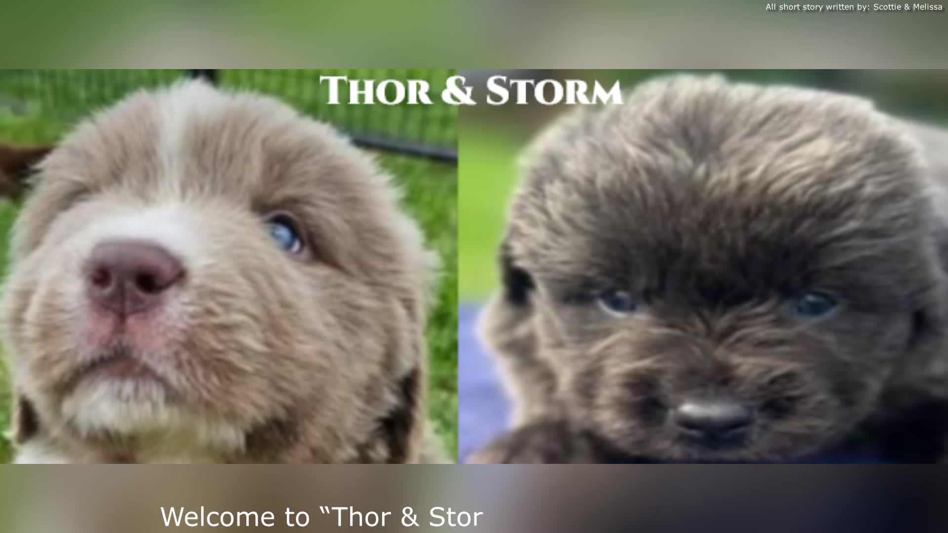 Meet Thor and Storm