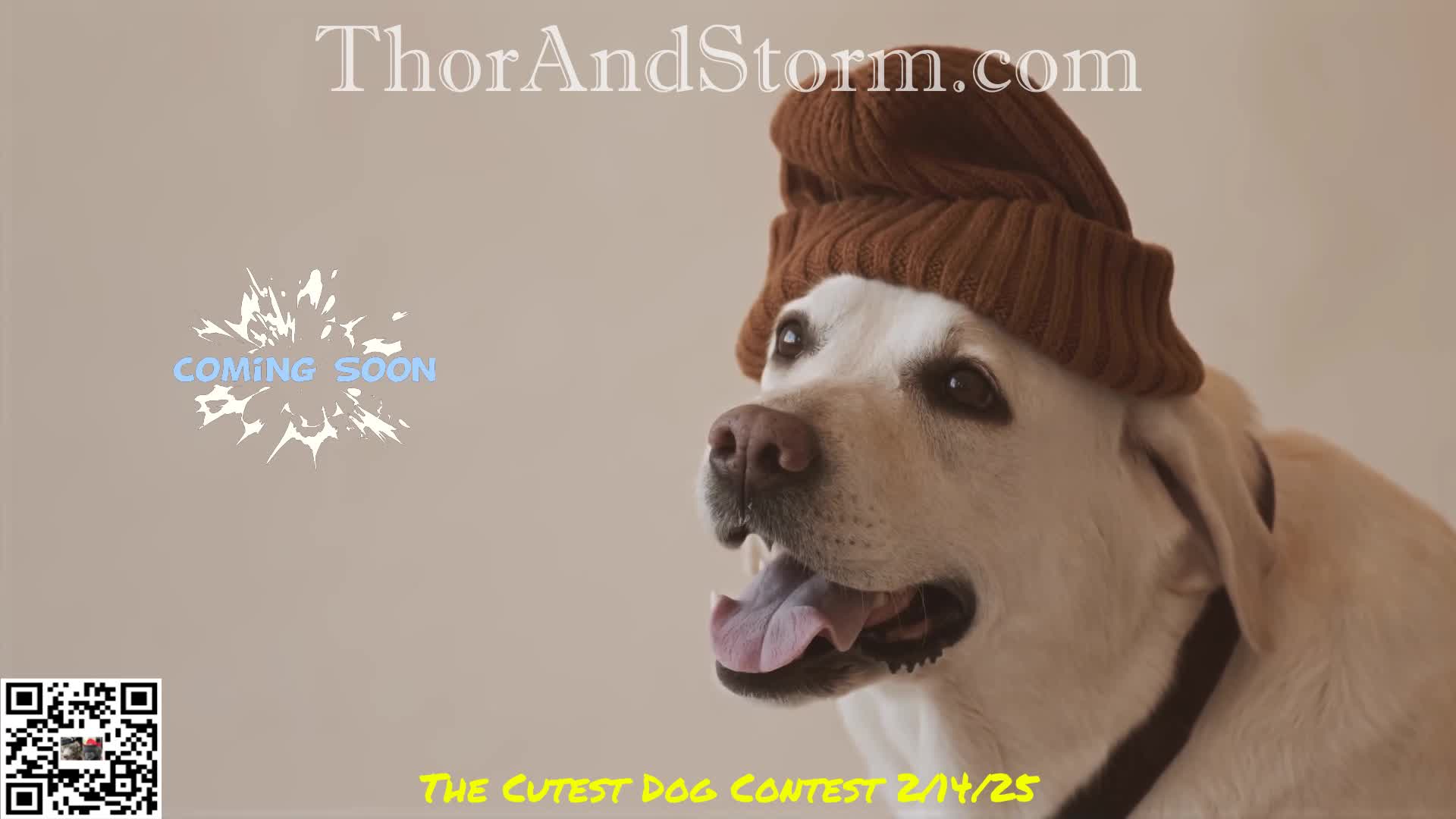 The Cutest Dog Contest