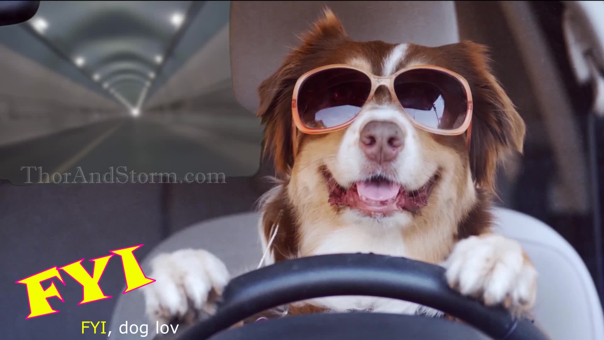 ThorandStorm.com Commercial