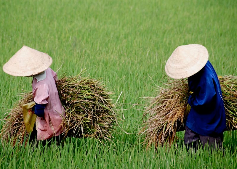 “Fotografiar es apropiarse de lo fotografiado. Significa establecer con el mundo una relación determinada que sabe a conocimiento y por lo tanto a poder”. Susan Sontag