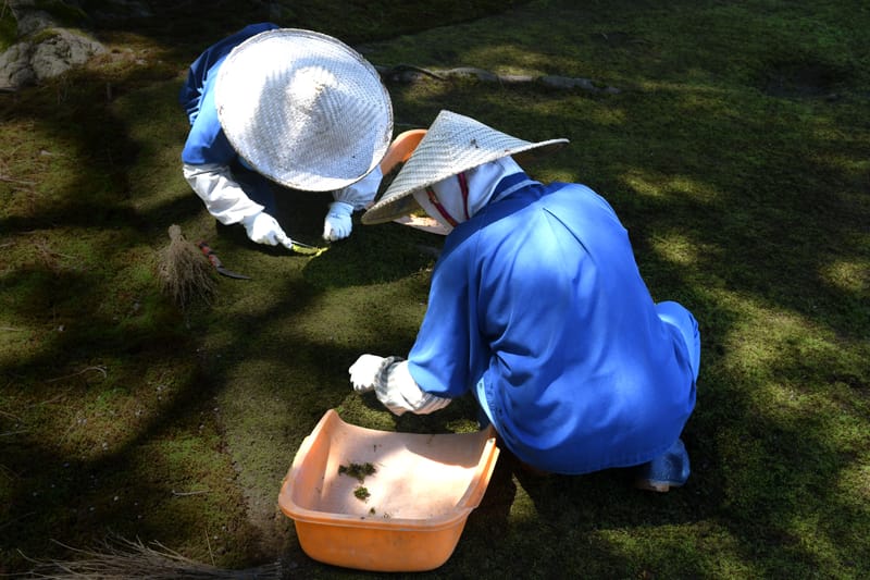 “La fotografía es el arte de la observación. Se trata de encontrar algo interesante en un lugar ordinario. Me he dado cuenta de que tiene poco que ver con las cosas que ves y mucho con cómo las ves”. Elliot Erwitt
