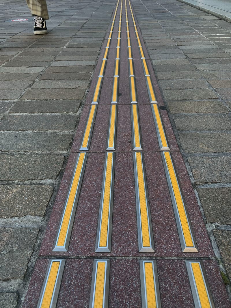 “La fotografía es el arte de la observación. Se trata de encontrar algo interesante en un lugar ordinario. Me he dado cuenta de que tiene poco que ver con las cosas que ves y mucho con cómo las ves”. Elliot Erwitt