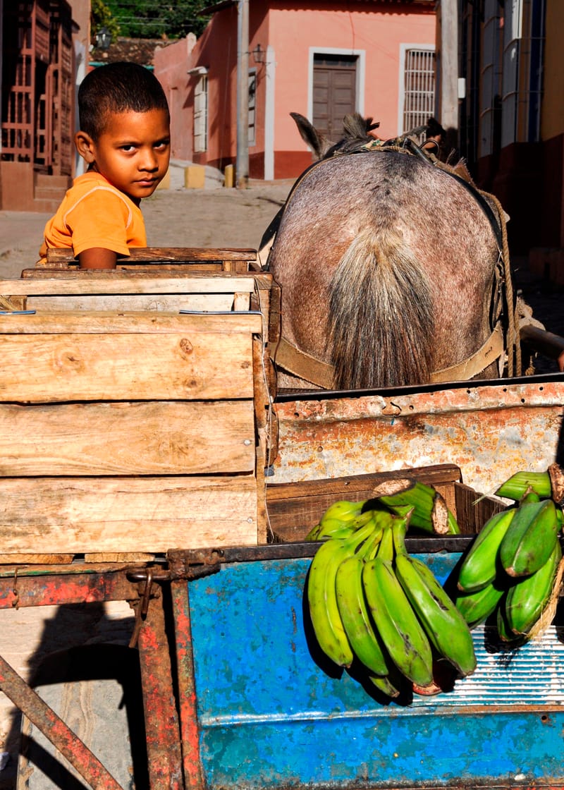 “No hacemos fotos con nuestras cámaras. Las hacemos con nuestro corazón y las hacemos con nuestras mentes, y la cámara no es más que una herramienta”. Arnold Newman