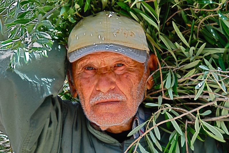 “La cámara fotográfica es un instrumento que enseña a gente cómo ver sin una cámara fotográfica”. Dorothea Lange