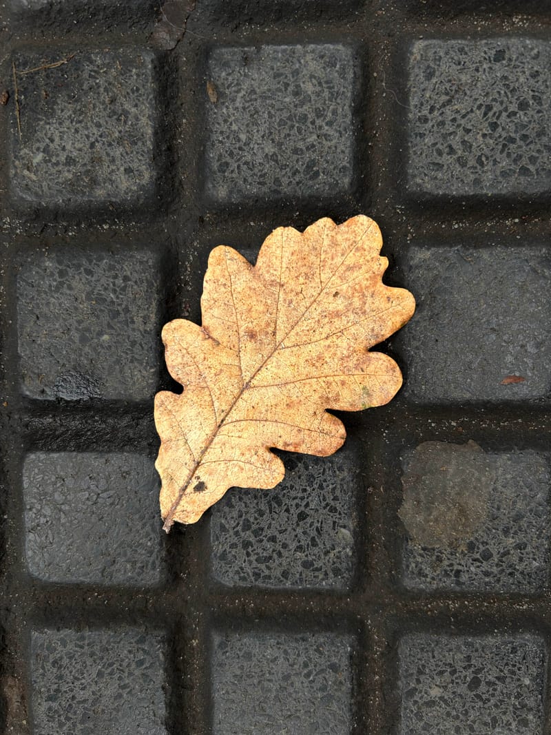 “Lo importante es ver aquello que resulta invisible para los demás”. Robert Frank