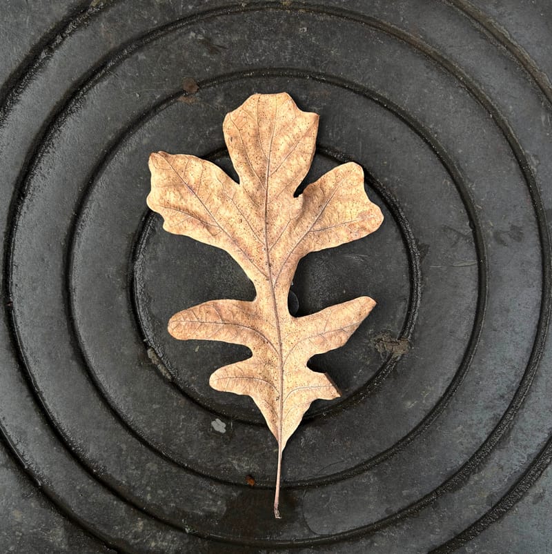 “Lo importante es ver aquello que resulta invisible para los demás”. Robert Frank