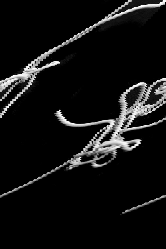 “Nadie descubrió la fealdad a través de fotografías. Pero muchos, a través de fotografías han descubierto la belleza”. Susan Sontag